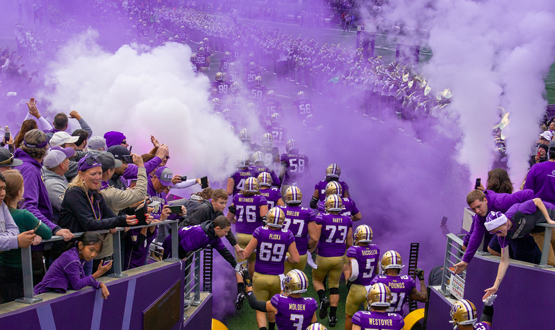 Vikings Season Tickets Renewal Center